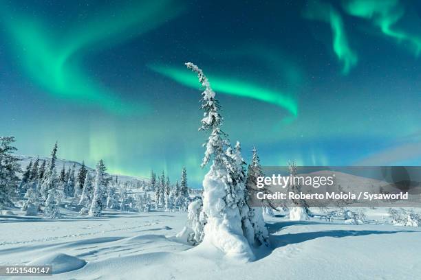 northern lights on the snowy landscape, lapland - lapland stock pictures, royalty-free photos & images