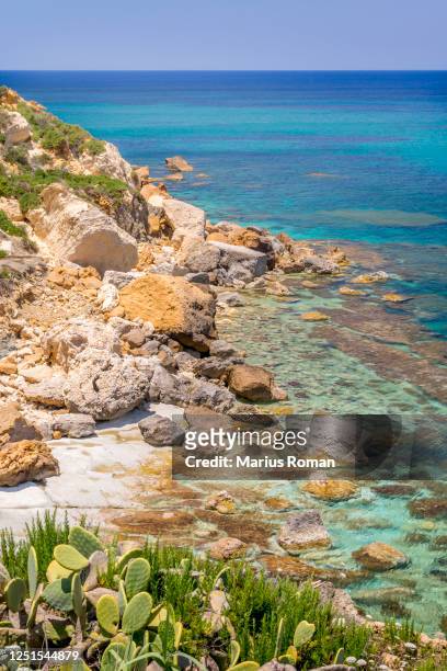 beautiful coastal view of gozo island, with rocks, vegetation and turquoise sea, near san blas beach, malta, europe. - gozo stock pictures, royalty-free photos & images