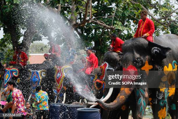 Elephants splash people with water in celebration of the Songkran Water Festival in Ayutthaya province, north of Bangkok. The event was held to...