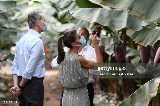 King Felipe VI of Spain and Queen Letizia of Spain visit the El Confital farm, a Canarian fruit plantation on June 23, 2020 in Tenerife, Spain. This...