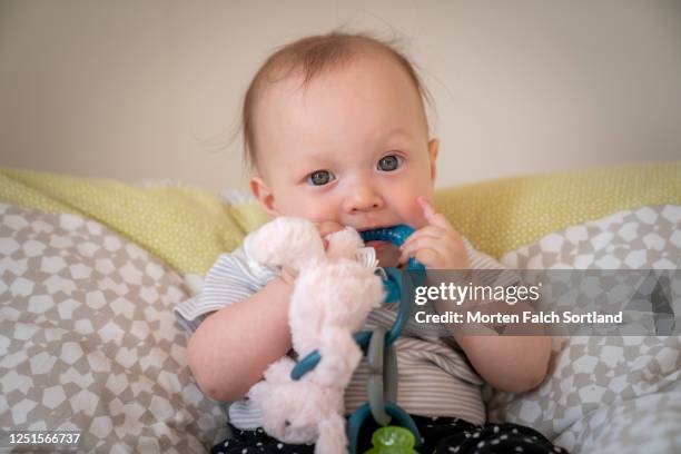portrait of an baby sitting comfortably with her toy - gezahnt stock-fotos und bilder