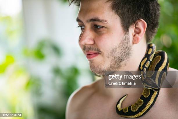 748 Ball Python Stock Photos, High-Res Pictures, and Images - Getty Images