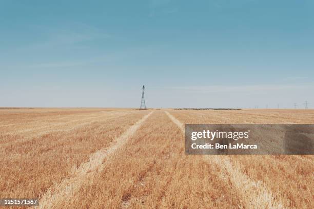 texas field - united states landscape texas fotografías e imágenes de stock