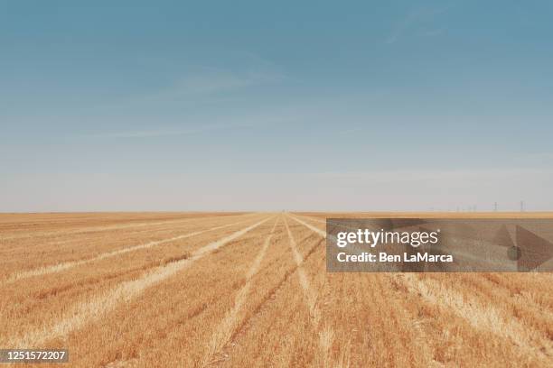 texas field - drought agriculture stock pictures, royalty-free photos & images