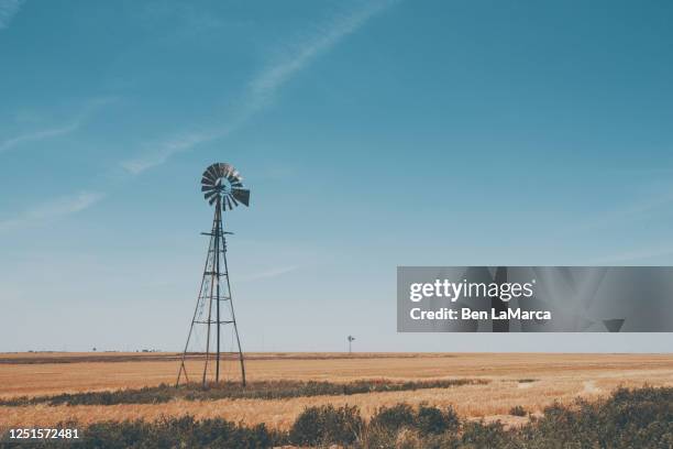 texas field - amarillo color stockfoto's en -beelden