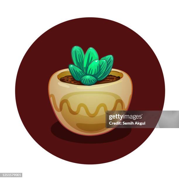 potted plant vector illustration succulent - potted herbs stock illustrations