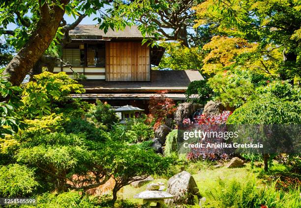 the japanese tea garden in the golden gate park, san francisco. - golden gate park foto e immagini stock