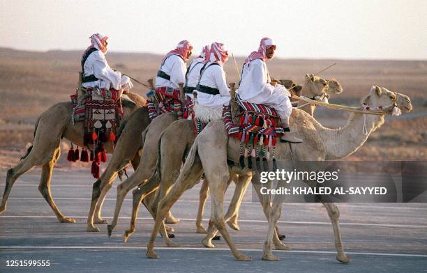 Saudi camel corps march during a military parade celebrating the 100th anniversary of al-Saud dynasty in Riyadh 26 January. In 1902 Abdel Aziz ibn...