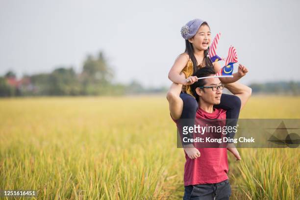 a mature chinese father giving shoulder ride on his shoulders. happy girl on shoulder dad swinging malaysia national flag happily at paddy field. - national holiday stock pictures, royalty-free photos & images