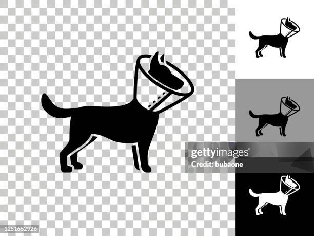 dog and neck cone icon on checkerboard transparent background - multiple pets stock illustrations