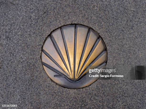 golden shell on the ground guide to santiago de compostela - santiago de compostela stockfoto's en -beelden