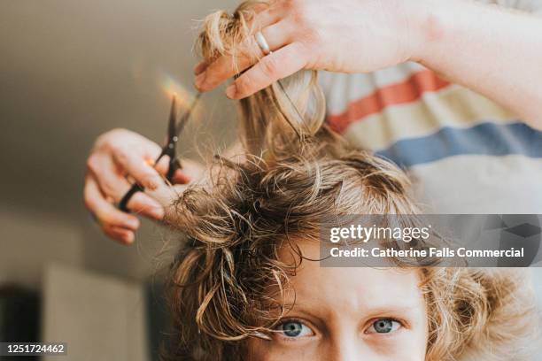 lockdown haircut - cutting long hair stock pictures, royalty-free photos & images