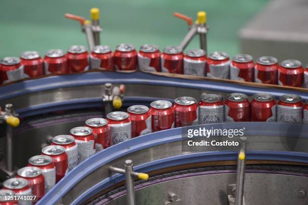An automated production line of Budweiser beer is seen at a workshop of Anheuser-Busch InBev Beer Co LTD in Suqian, Jiangsu Province, China, April...