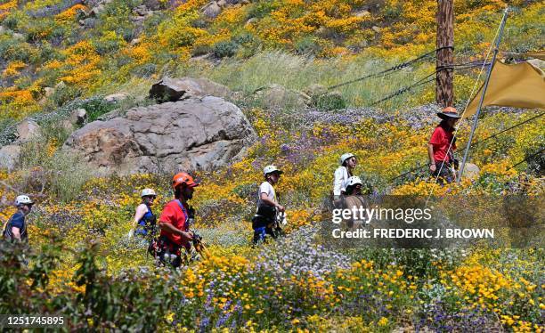 Zipliners make their way past blooming wildflowers to their next location at Skull Canyon Ziplines in Corona, California on April 11, 2023. - People...