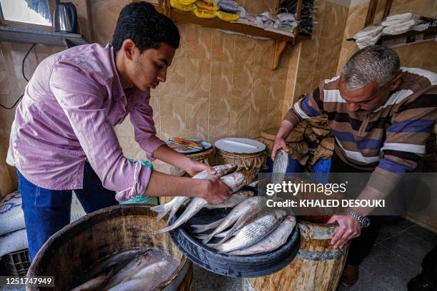 In this picture taken on April 11 fish mongers prepare to salt and barrel mullet fish known in Egypt as "fessikh" at a shop in the town of Nabaroh,...