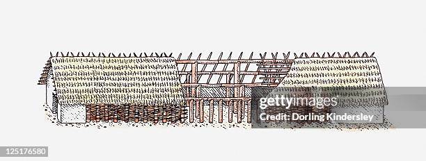 cross section illustration of timber longhouse with thatched roof, bylany, moravia, czech republic - longhouse stock-grafiken, -clipart, -cartoons und -symbole