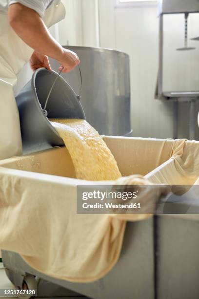 cheese factory, female worker sieving whey - molke stock-fotos und bilder