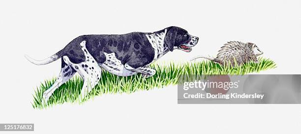 Pointer Chasing Ilustraciones, imágenes clip art, dibujos animados e iconos de stock de ...