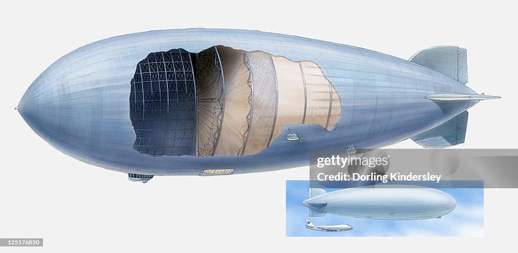 Zeppelin Front Cross Section Illustration Of Zeppelin And Scale Of Model Of Airship ...