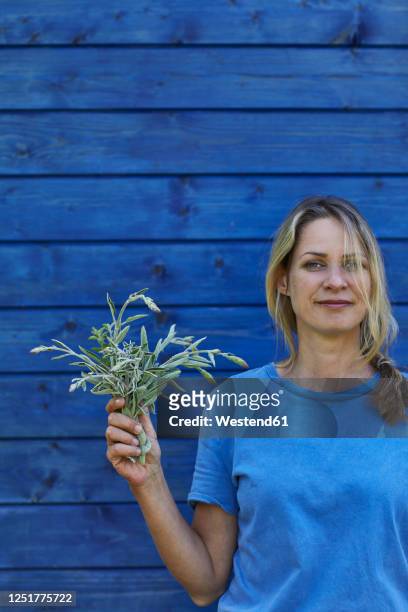 portrait of woman holding bunch of sage at garden shed - mature woman herbs stock pictures, royalty-free photos & images
