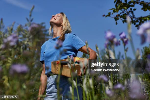 smiling woman holding a crate in allotment garden - hot blonde woman fotografías e imágenes de stock