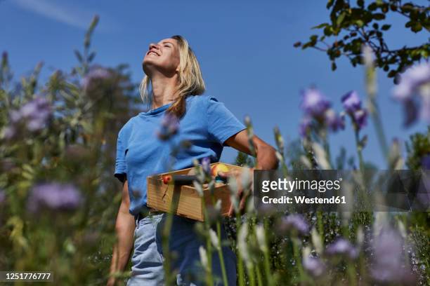 smiling woman holding a crate in allotment garden - colher atividade agrícola - fotografias e filmes do acervo