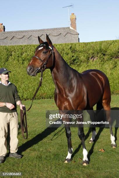 Banstead Banstead Manor Stud Photos et images de collection - Getty Images
