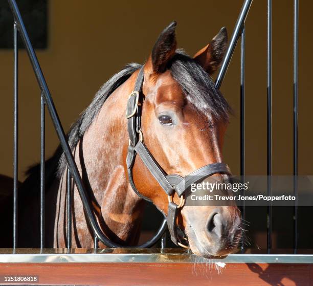 Banstead Banstead Manor Stud Photos and Premium High Res Pictures - Getty Images
