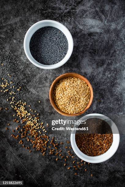 studio shot of three bowls with sesame, flax and poppy seeds - poppy seed stock pictures, royalty-free photos & images