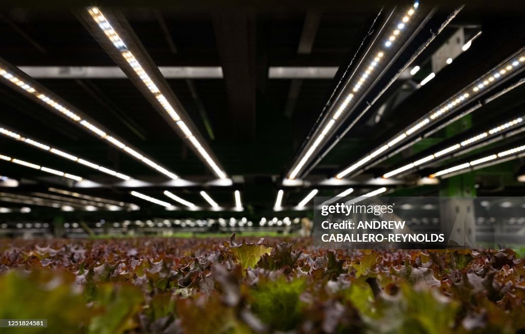 US-ENVIRONMENT-AGRICULTURE-FARMING