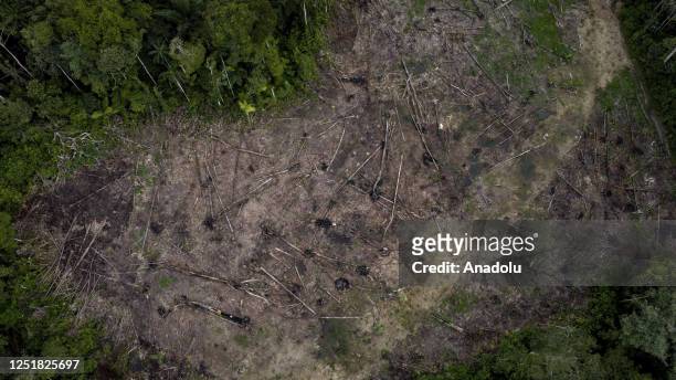 An aerial view of the deforestation and the destruction of habitats in Amazon, Colombia on March 31, 2023. The main cause of this continuous increase...