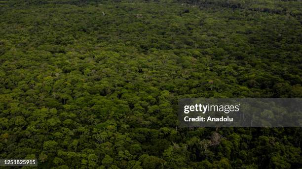 An aerial view of the deep jungle in Amazon, Colombia on March 31, 2023. The main cause of this continuous increase in forest exploitation lies in...