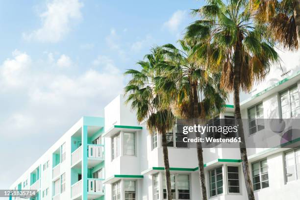 art deco buildings and palm trees against sky during sunny day, florida, usa - art deco home stock pictures, royalty-free photos & images