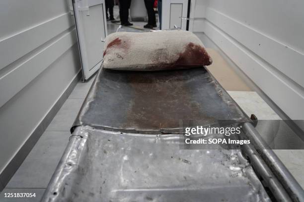 Pillow stained with blood is seen in the hospital in Sloviansk following a rocket attack by the Russian troops. Russian troops attacked the eastern...