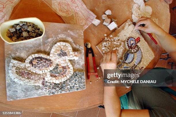 Student applies ceramic fragments onto a mortarboard using the direct grout method of mosaic. Vacationers learn the ancient Roman technique 26 July...