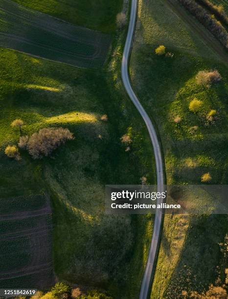 April 2023, Baden-Württemberg, Rottweil: A dirt road leads through nature in the evening light. Photo: Silas Stein/dpa