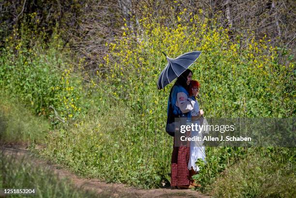 Chino Hills, CA After multiple storms drenched Southern California, California poppies bloom under the warm sunshine as crowds hiked around to view...