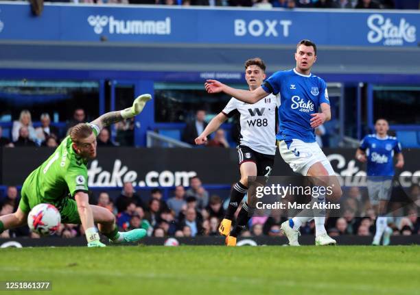 Daniel James of Fulham scores the third goal during the Premier League match between Everton FC and Fulham FC at Goodison Park on April 15, 2023 in...