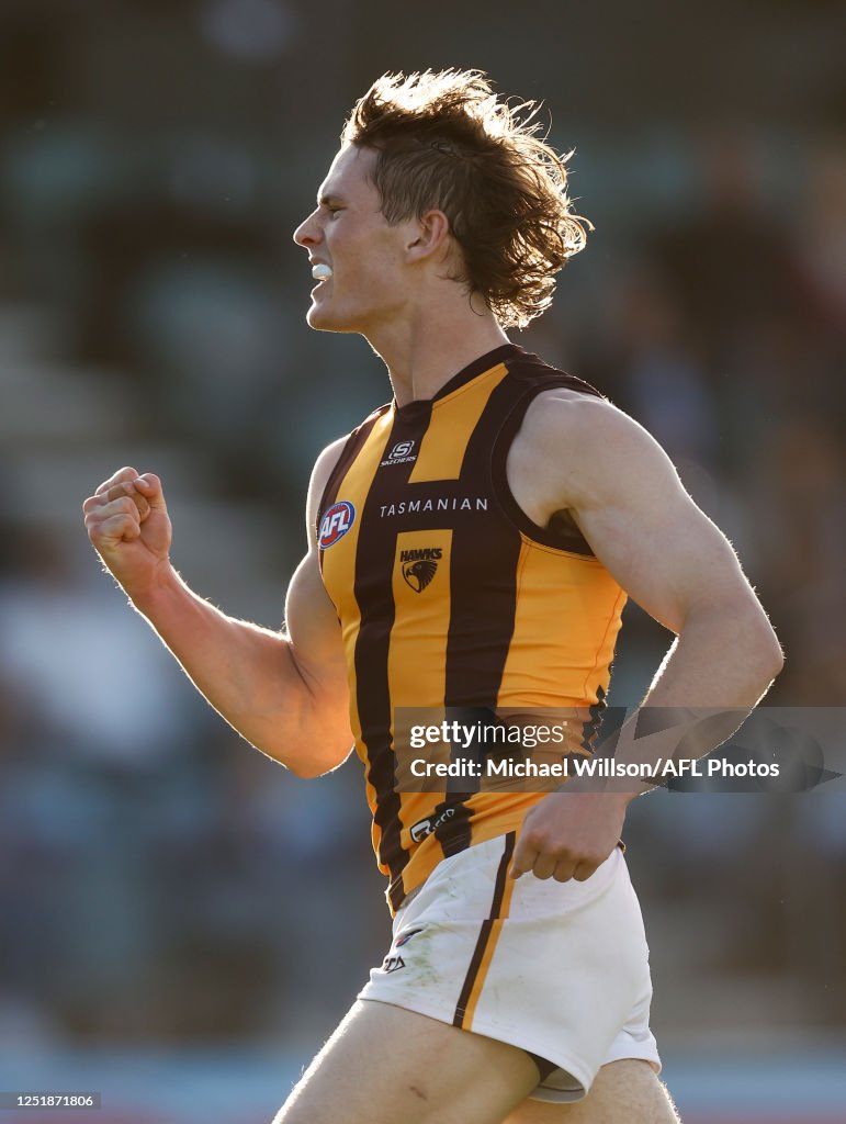 Ned Long of the Hawks celebrates during the 2023 AFL Round 05 match