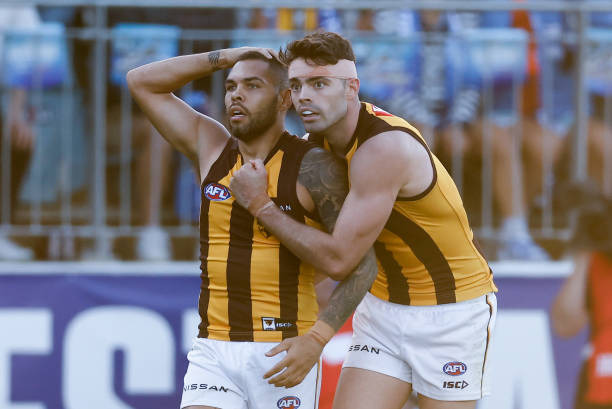 Jarman Impey and Conor Nash of the Hawks look on during the 2023 AFL Round 05 match between the GWS Giants and the Hawthorn Hawks at Norwood Oval on...