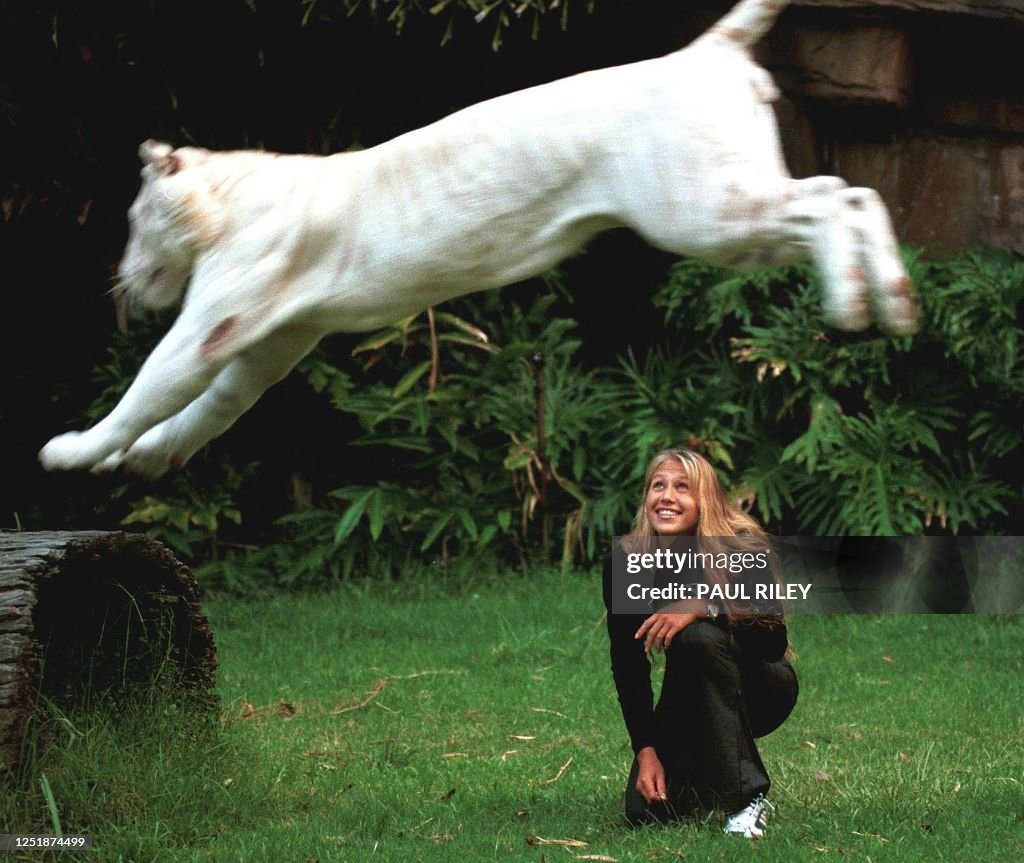 TENNIS-KOURIKOVA-TIGER