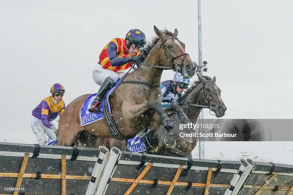 John Adlam Racing Nelson ridden by Steven Pateman jumps as it wins the John Adams... News ...