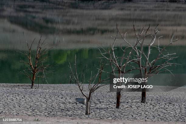 This photograph taken on April 16, 2023 shows a general view of the low water-level and the dried banks of the swamp of Sau, located in the province...