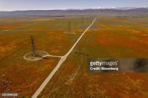Wildflowers bloom at the Antelope Valley Poppy Reserve in Lancaster, California, US, on Friday, April 14, 2023. The record-breaking rain in...