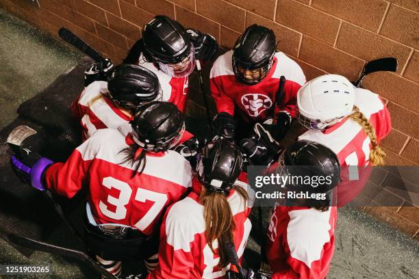 woman's hockey team celebrating - ice hockey celebration stock pictures, royalty-free photos & images