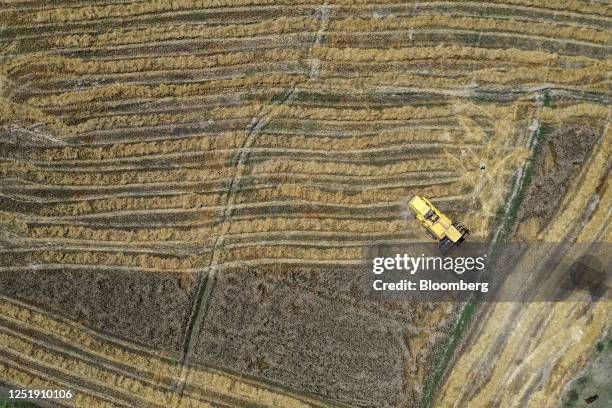 Combine harvester cuts wheat on a farm in Chiniot, Punjab, Pakistan, on Saturday, April 15, 2023. Pakistan's central bank this month raised its...