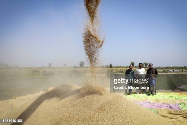 Wheat grain falls from a combine harvester on a farm in Chiniot, Punjab, Pakistan, on Saturday, April 15, 2023. Pakistan's central bank this month...