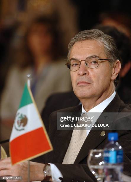 El canciller mexicano Luis Ernesto Derbez participa de la reunión de presidentes de la XXX Cumbre del Mercosur, en Córdoba, Argentina, el 21 de julio...