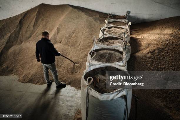 Farmer and member of the AgroUnia union moves rye grain stores on a farm in Sedziejowo, Poland, on Monday, April 17, 2023. The European Union slammed...