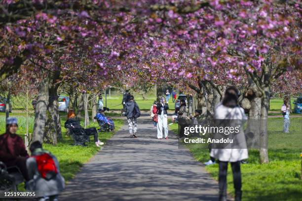 People enjoy their time at Greenwich Park during spring in London, United Kingdom on April 17, 2023.